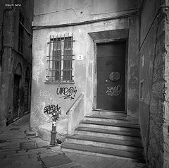 photo "corner of the old town"