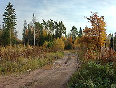 фото "Палитра осени..."