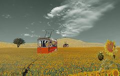 photo "***"