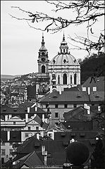 photo "Ветви, башни и крыши"