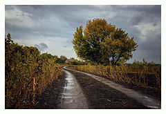photo "***"
