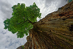 photo "Erinnerungen - Großer Ahornboden"