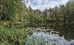 photo "Kurtna lakes. LINAJARV"