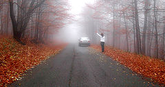 photo "###"