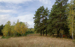 photo "***"