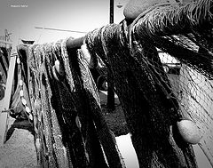 photo "nets"