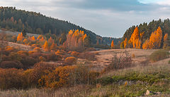 photo "Где то в Карелии."