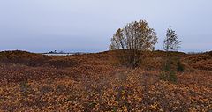 photo "Autumn at the end of the earth. Cape Purekkari. Estonia"