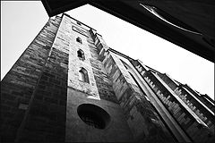 фото "Вид вверх-2"