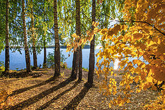 фото "На озере осень"