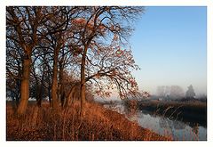 photo "***"
