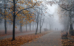 photo "***"