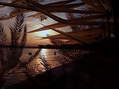 photo "***"