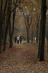 photo "***"