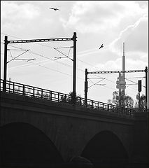 фото "Мост и башня"