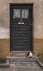 photo "***"