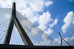 photo "The Strings of the Bridge"