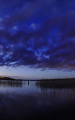 photo "Ночь"