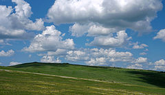 photo "***"