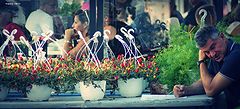 photo "market: selling flowers"