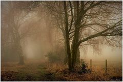 photo "***"
