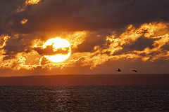 photo "Финский залив"