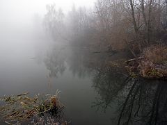 photo "***"
