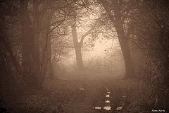 photo "***"