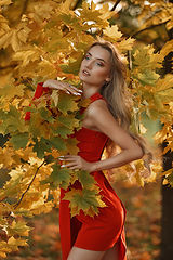 photo "***"
