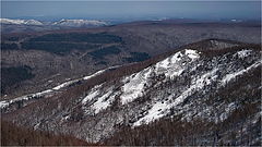 photo "***"