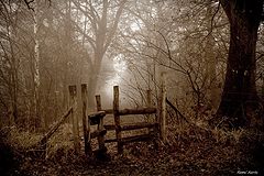 photo "***"