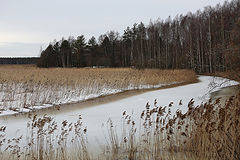 photo "***"
