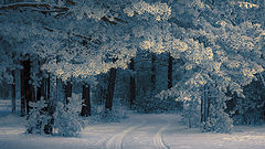 photo "***"