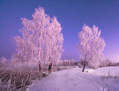 фото "В утреннем свете"