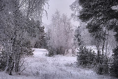 photo "***"