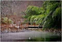 photo "***"