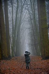 photo "***"