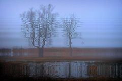 photo "***"