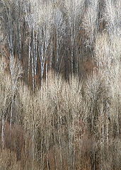 photo "***"