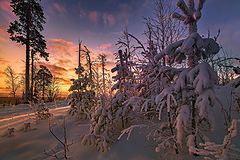 photo "***"
