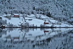 photo "winter  time"
