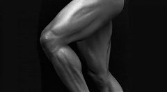 фото "Just the legs"
