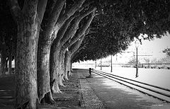 photo "boulevard"