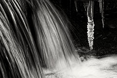 photo "Alpbach"