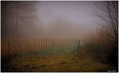 photo "***"