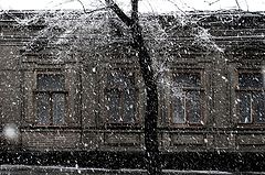 photo "***"