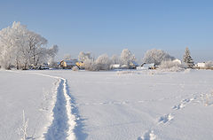 фото "За околицей"