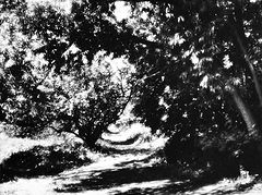 photo "***"