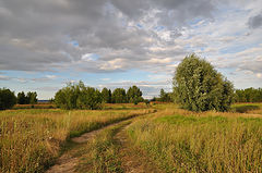 фото "Ушедшее лето"