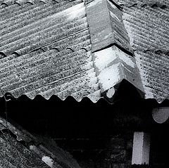 photo "***"